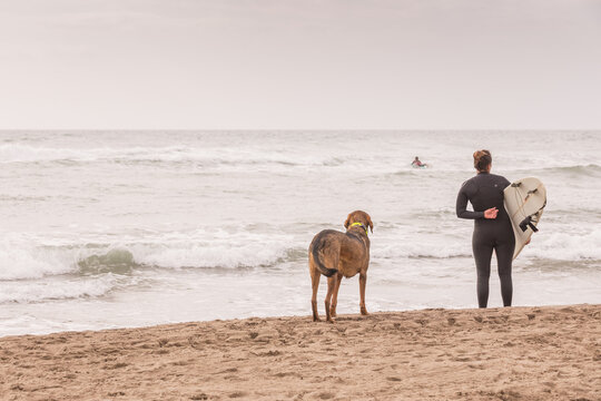 Joven surfera junto su fiel perro observando las olas.