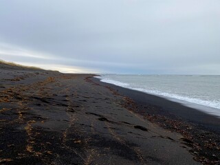 Black sand beach, Iceland 