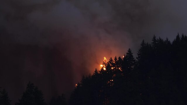 Large forest fire burns the tree covered side of a mountain in Oregon