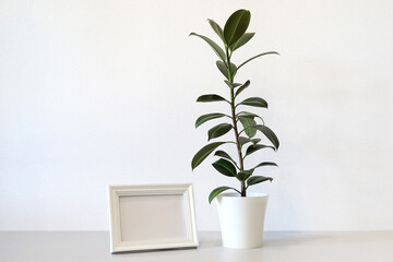 Mock up minimalist home interior with empty white wooden photo frame and potted green house plant