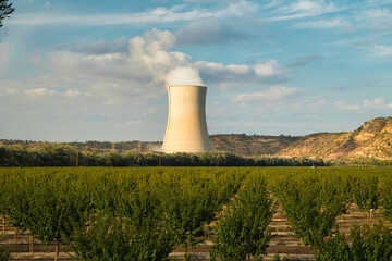 The thermal power plant together with a fruit plantation in Ascó, Tarragona Spain.