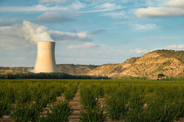 The thermal power plant together with a fruit plantation in Ascó, Tarragona Spain.