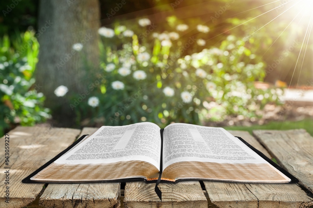 Wall mural Holy Bible book outdoor on nature background