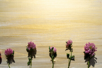 flowers on wooden background