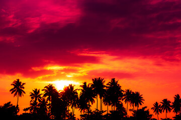 Fototapeta na wymiar Coconut palm trees silhouettes and shining sun on tropical beach at colorful sunset