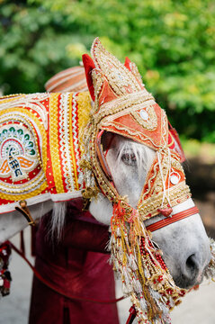 Horse in traditional costume with gold decoration standing outdoors, preparing for ceremonial ritual