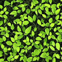 Eco sustainability
Eco sostenibile
Green