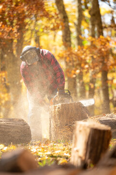 Man with chainsaw cutting up a tree in autumn