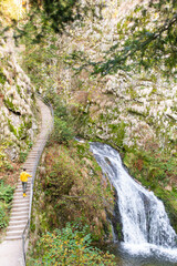 Mann neben einem atemberaubenden Wasserfall im Schwarzwald