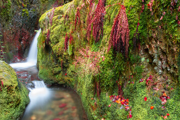 Fließender Wasserfall in einer Langzeitbelichtung im Herbst im Schwarzwald