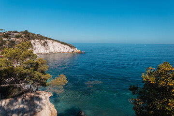 Fototapeta na wymiar Amazing beautiful clear blue sea with sky, rocks and trees on Elba island, Italy