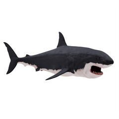 Great white shark isolated