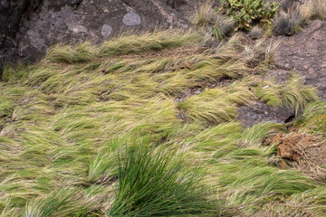 Paisaje de las Islas Canarias en medio de la naturaleza con una cascada famosa en sus montañas