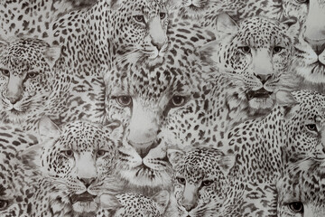 Background with the image of leopards