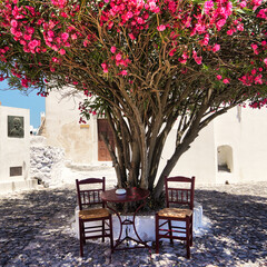 Sitzgruppe unter Baum in Pyrgos, Santorin 