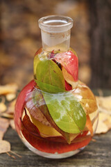 Autumn colored leaves are in a 500 milliliter round flask with water.