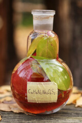 Round flask with colorful autumn leaves on a wooden table in the forest.
