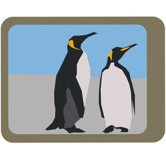 antartica penguin standing, vector graphic illustration animal full color.