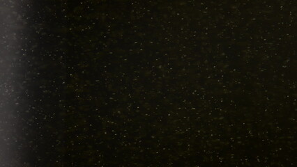 Closeup champagne bubbles texture on black background. Golden alcohol drink.