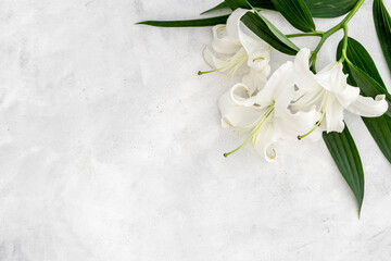 Branch of white lilies flowers. Mourning or funeral background © 9dreamstudio