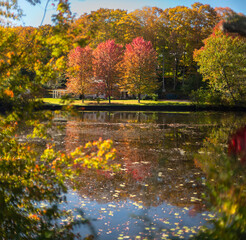 autumn colors, Fall foliage in Connecticut, Hamburg Cove, Connecticut river