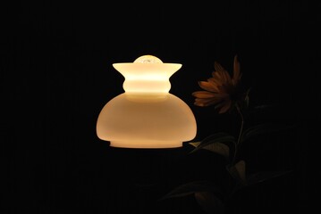 stylish lamp in the room, shade and flower, very dim colors
