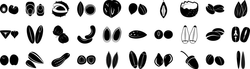 Nuts icons collection vector illustration design