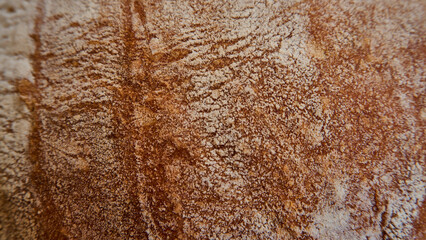 Rustic and whole wheat bread crust, closeup and selective focus.
