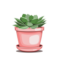Echeveria succulent in ceramic pot in flat technique vector illustration 
