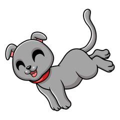 Cute scottish fold cat cartoon