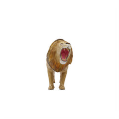 Lion isolated