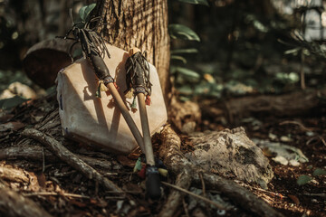 Percussion music instrument on the tropical forest floor with warm light during golden hour in Tulum 