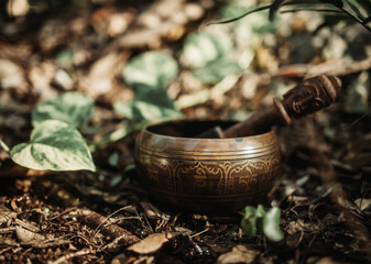 Tibetan singing bowl on the tropical forest floor during golden hour with green plants and roots at sacred ceremony in Tulum