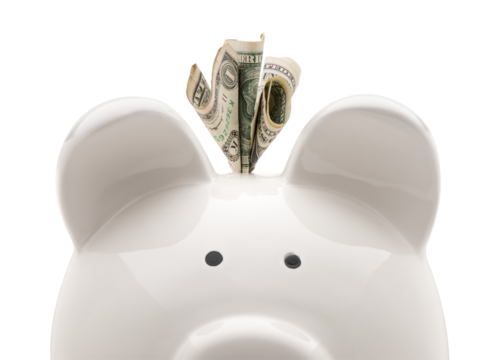 Close-up white piggy bank and US dollars isolated