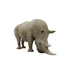 Obraz premium rhino isolated on white