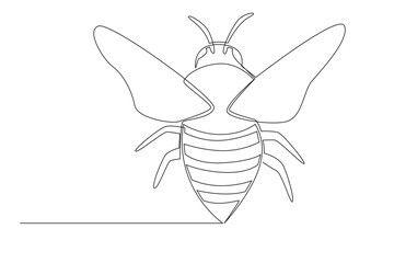 a simple line illustration of honey bee. one line honey bee  