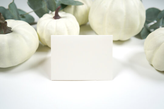 Fall Thanksgiving Dinner Product Mockup. Blank dinner 2.5 x 3.5 place card mock up, styled with white pumpkins on minimalist background.