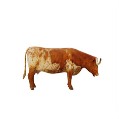 Texas Longhorn cattle isolated
