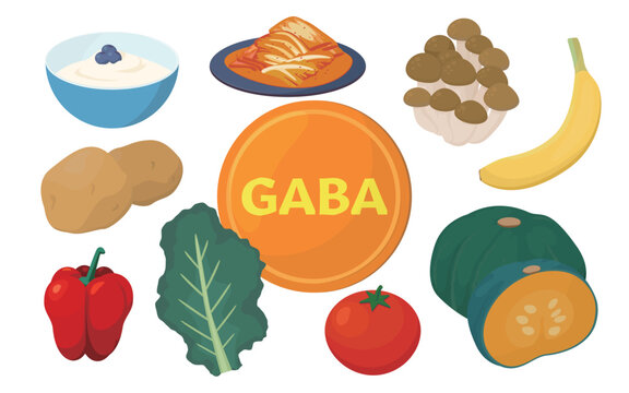 Vector illustration of food containing GABA. 