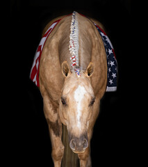 Patriotic Palomino Horse