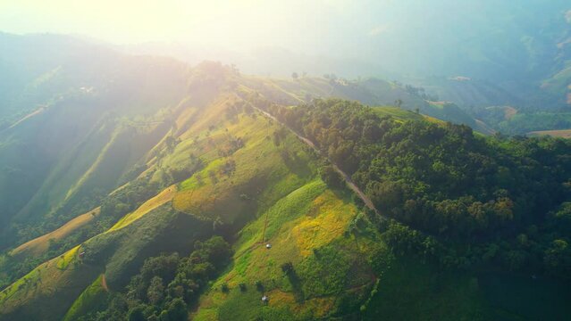 Drone fly over "Loi Fah Road", It is a beautiful country road and a famous tourist attraction. Nan, Thailand. high agricultural areas and tropical forest. green background in sunlight. travel concept

