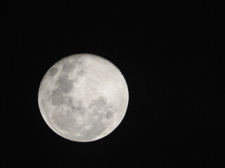 full moon in the night