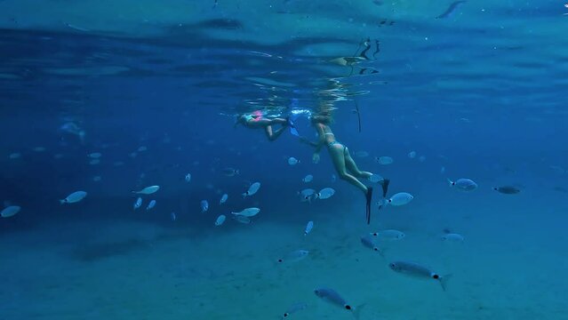 School of fish swims close to girls snorkeling underwater in deep blue sea. Slow motion undersea view