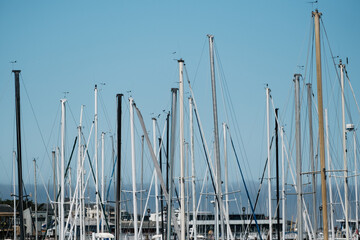sailboat masts in harbor