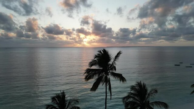 Uroa beach in Zanzibar Island during sunset with palm trees, Tanzania Africa, Aerial pan right shot