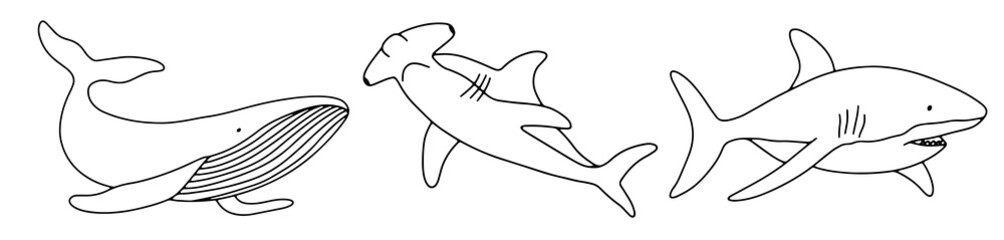 Vector shark and whale isolated on white background. Hand drawn outline doodle illustration ocean or underwater animal for coloring page © Elena