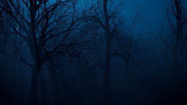 Trees in Eerie Woodland. Halloween background.