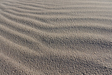 Fototapeta na wymiar 鳥取砂丘の砂紋