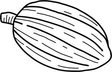 cacao fruit doodle freehand drawing.