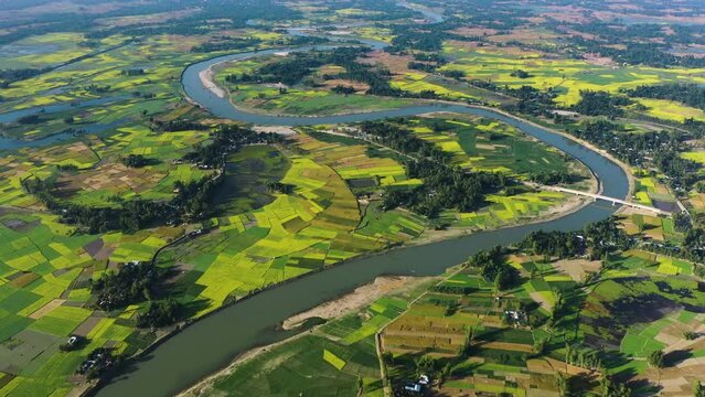 Beautiful Bangladesh. Aerial View of yellow mustard field.